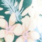 ivory tropical