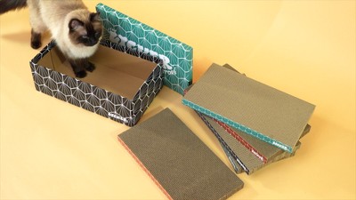 Naomi 17" Multi-Colored Cardboard Cat Scratcher Pad with Catnip