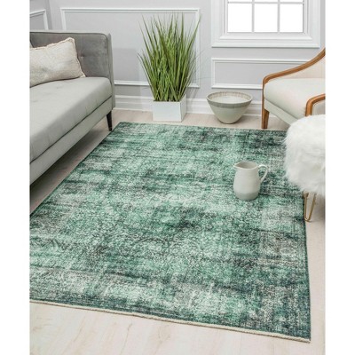 Rugs America Isle Transitional Vintage Area Rug : Target