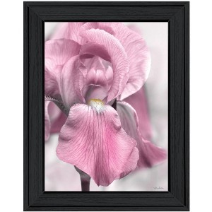 HomeRoots Pink Iris Black Framed Print Wall Art - 1 of 4