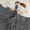 Bedsure Ultra-Plush Fleece Blanket - Warm Winter Blanket for Bed, Soft Home Decor Throw for Couch, All-Season Coziness - 2 of 4