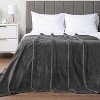 PAVILIA Lightweight Fleece Throw Blanket for Couch, Soft Warm Flannel Blankets for Bed - 3 of 4