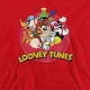 Looney Tunes Smaller Group Adult Pull-Over Hoodie - 2 of 4