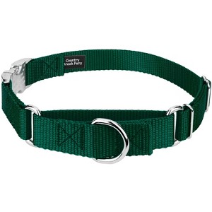 Country Brook Petz Heavyduty Nylon Martingale with Premium Buckle - 1 of 4
