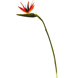 Nearly Natural 38-in Large Bird of Paradise Artificial Flower (Set of 4) - 1 of 1