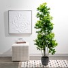 Sullivans Artificial Potted Schefflera Plant 62"H; Green - 3 of 4