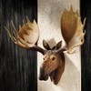 Design Toscano Alaskan Moose Trophy Wall Sculpture - 2 of 2