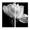Michael Harrison 'Gardenia' Floating Brushed Aluminum Art - 2 of 3
