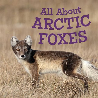 All about Arctic Foxes - (Nunavummi) by  Jordan Hoffman (Paperback)