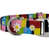 Country Brook Petz Premium Spring Daisies Dog Collar - 4 of 4