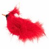 Italian Ornaments 3.5 Inch Deluxe Cardinal Bird Glass Ornament Ohio Tree Ornaments - 3 of 4