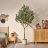 DR.Planzen 6/7/8FT Single-Trunk Artificial Olive Tree in White Oval Planter, Slim Faux Tree Fake Olive Plant for Indoor/Outdoor Home Decor - 2 of 4