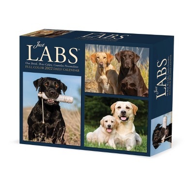 2022 Box Calendar Just Labs - Willow Creek Press