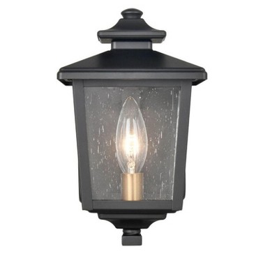 Eldrick Black Metal Outdoor Wall Lantern
