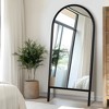 SpassWay Solid Wood Full Length Mirror Arch Accent Wall Mirror Novelty Cheval Mirror Black/Brown - 3 of 4