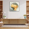 30" x 30" Fruit Bowl I by Emma Scarvey Framed Canvas Wall Art Print - Amanti Art: Modern Lithograph, Polystyrene Frame - 4 of 4
