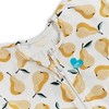 Love To Dream Swaddle Up Original Sleep Sack - Cotton 1.0 TOG - Pears - 4 of 4