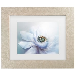 Trademark Fine Art - Jacky Parker Chill Matted Framed Art - 1 of 4