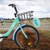 Grungis Mountain Kids Bike for Boys & Girls with Chain Guard & Rear Rack,1-Speed Children's Bicycle with Coaster Brake & V-Brake - 4 of 4