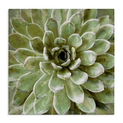 Stupell Industries Green Botanical Succulent Bloom, 17" x 17"