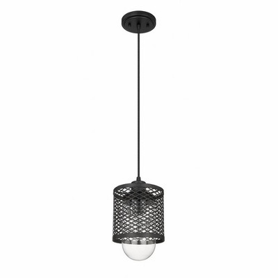 Matte Black Glass Mini Pendant Light with Mesh Cage