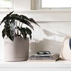 Bloem Mathers Round Resin Planter Pot Indoor and Outdoor Gardening - 2 of 4