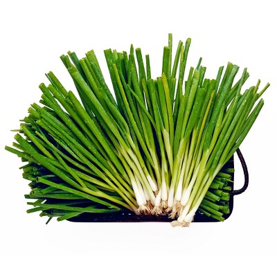 Organic Green Onion Bunch - 5.5oz