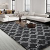 Plush Fuzzy Rugs Ultra Soft Fluffy Furry Rugs Non Slip Non Shedding Rug Soft and Cozy Plush Large Carpet for Bedroom Living Room Teens Dorm - 2 of 4