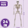 Joyfy 24” Halloween Full Body Poseable Skeleton, Human Plastic Bone with Movable Joints for Haunted House Scene Party Prop Decor (1 pcs, Original) - 3 of 4