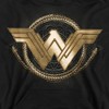 Boys’ Wonder Woman Movie Lasso Logo Hooded Sweatshirt - 2 of 4
