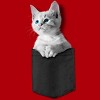 Junior's Design By Humans Pocket Kitten By Mitxeldotcom T-Shirt - 2 of 3