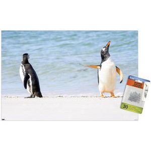 Trends International The Comedy Wildlife Photography Awards: Jennifer Hadley - Talk To The Fin Unframed Wall Poster Prints - 1 of 4