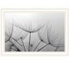 HomeRoots Love is a Delicate Flower White Framed Print Wall Art - 4 of 4