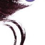 clear push pins bundle