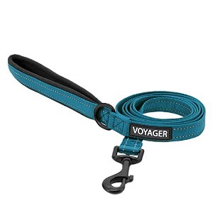 Voyager Reflective Dog & Cat Nylon Leash for All Breeds - 1 of 4