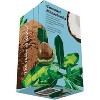 Hawaiian Islands Tea Coconut Macadamia Herbal Tea Bags - 20ct - 3 of 4