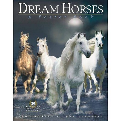 Dream Horses - (Paperback)