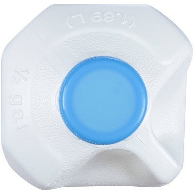 Hood Fat Free Milk - 0.5gal