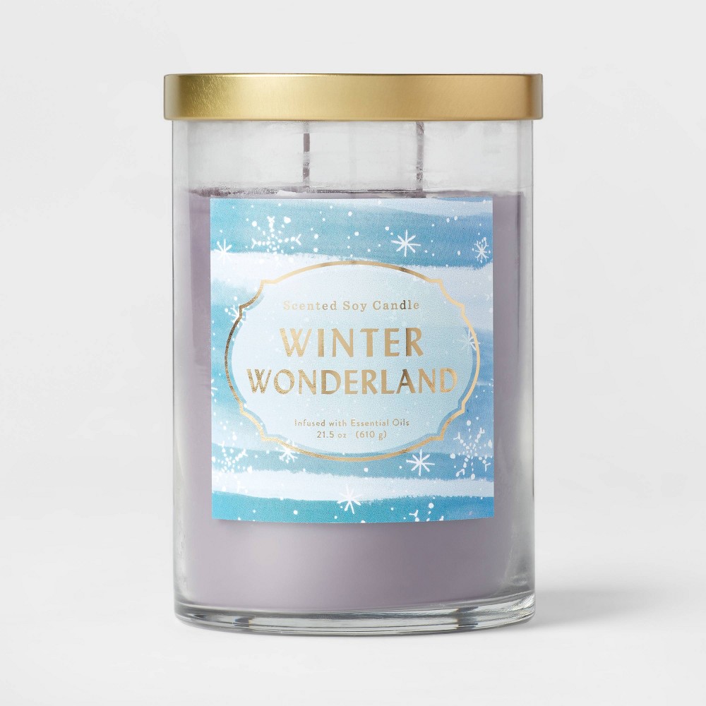 21.5oz Lidded Glass Jar 2-Wick Winter Wonderland Sandalwood Candle - Opalhouse