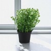 Unique Bargains Artificial Plants Bellflower Decorative Pot Plastic 3.74"x3.74"x10.63" 1 Pc - 2 of 4
