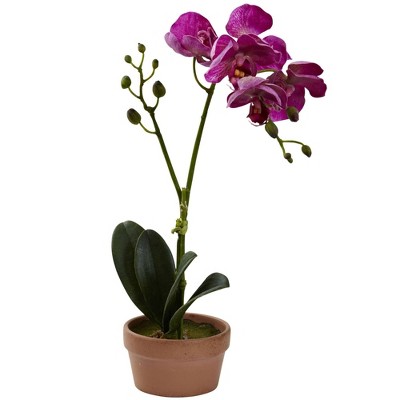 Set of 4 Multicolor Faux Orchid Plants in Clay Pots