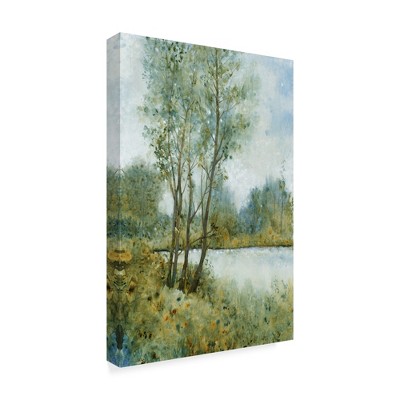 Trademark Fine Art -Tim Otoole 'Early Spring Ii' Canvas Art