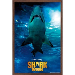 Trends International Shark Week - Smile Framed Wall Poster Prints - 1 of 4