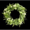 Mixed Foliage Wreath 27.5"D Decorative Polyester Green Fern Wreath for Home, Porch & Entry Display by Melrose - 3 of 3
