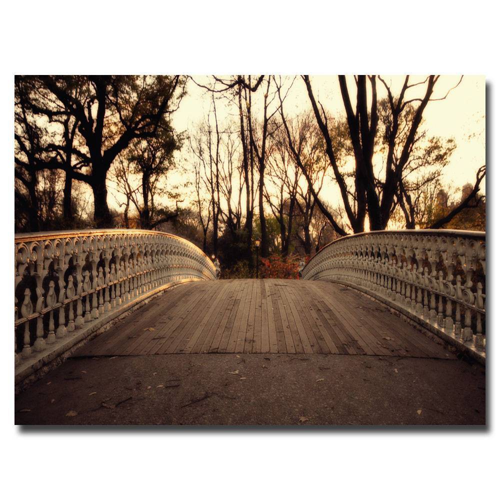 'Bridge' by Ariane Moshayedi Ready to Hang Canvas Wall Art (22x32) was $60.99 now $45.74 (25.0% off)