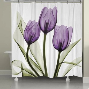 Laural Home Purple X-Ray Tulips Shower Curtain - 1 of 1
