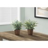 Artificial Plant, 13" Tall, Eucalyptus Grass, Indoor, Faux, Fake, Table, Greenery, Potted, Set Of 2, Decorative, Green Leaves, Brown Pots - 2 of 4