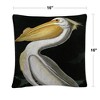 John James Audubon  16 x 16 Decorative Throw Pillow by Trademark Fine Art - 4 of 4