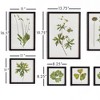 Plum & Post Foliage Prints, Set Of 9 - 2 of 4