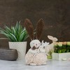 Northlight 14" Beige and Brown Plush Easter Bunny Rabbit Holding a Carrot Spring Figure - 2 of 4